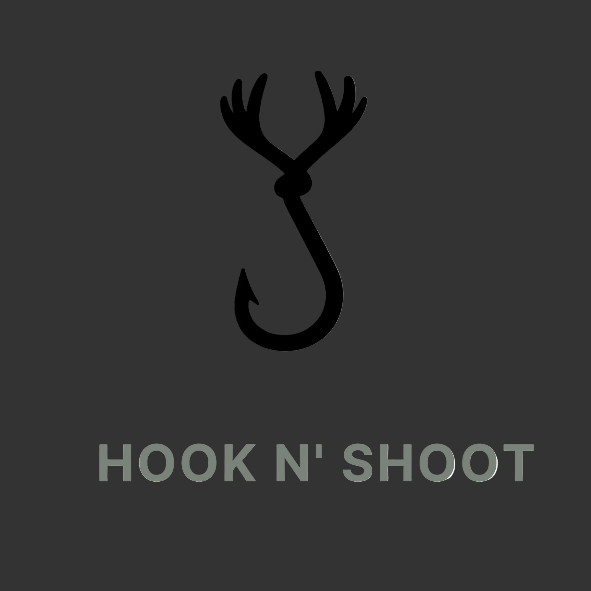 HoolkNShoot 